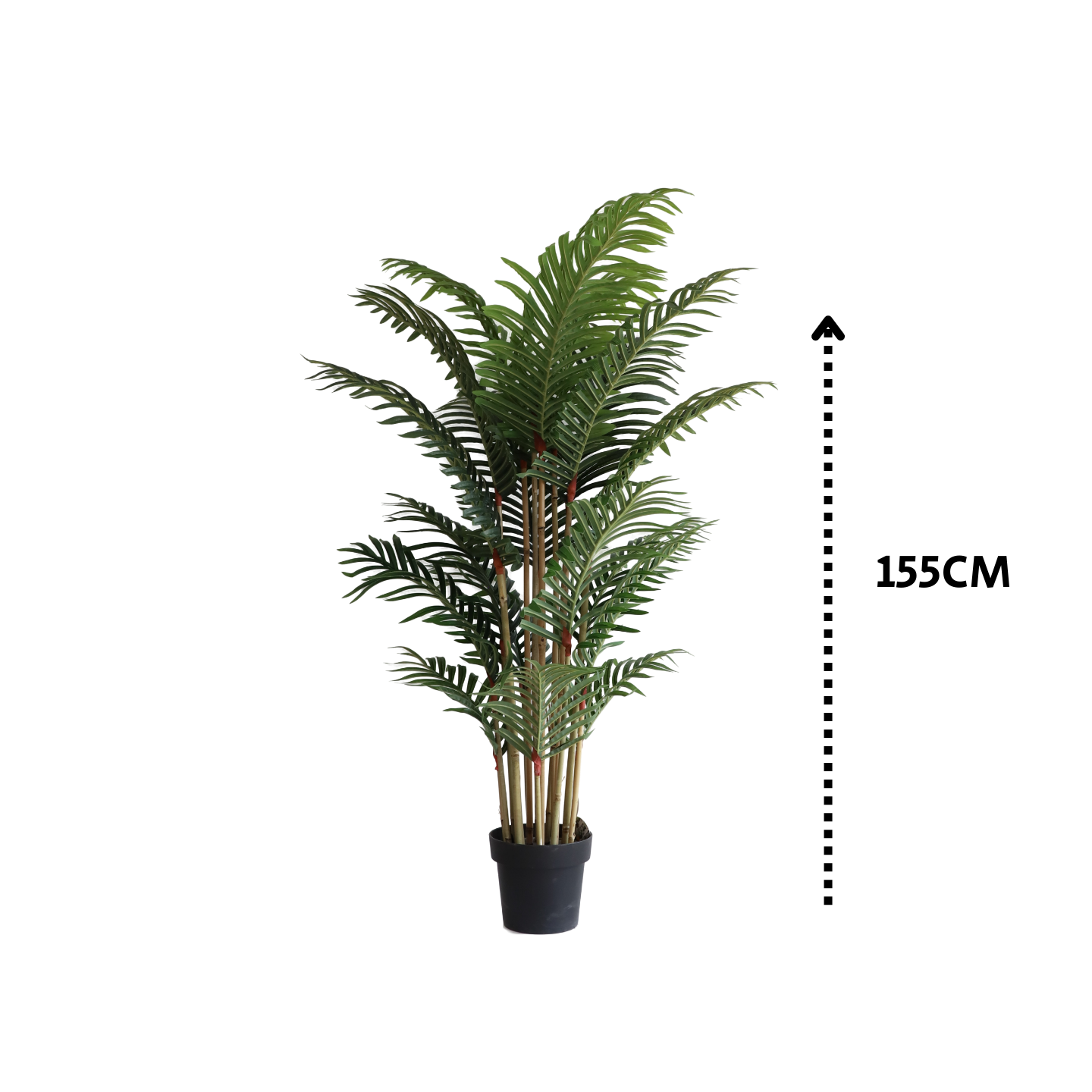 עץ דקל מלאכותי ריאליסטי עם חץ המביע את גובהו 155סמ