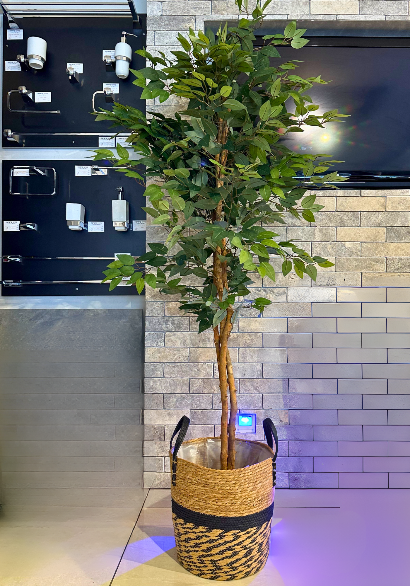 עץ פיקוס מלאכותי | 180 ס"מ