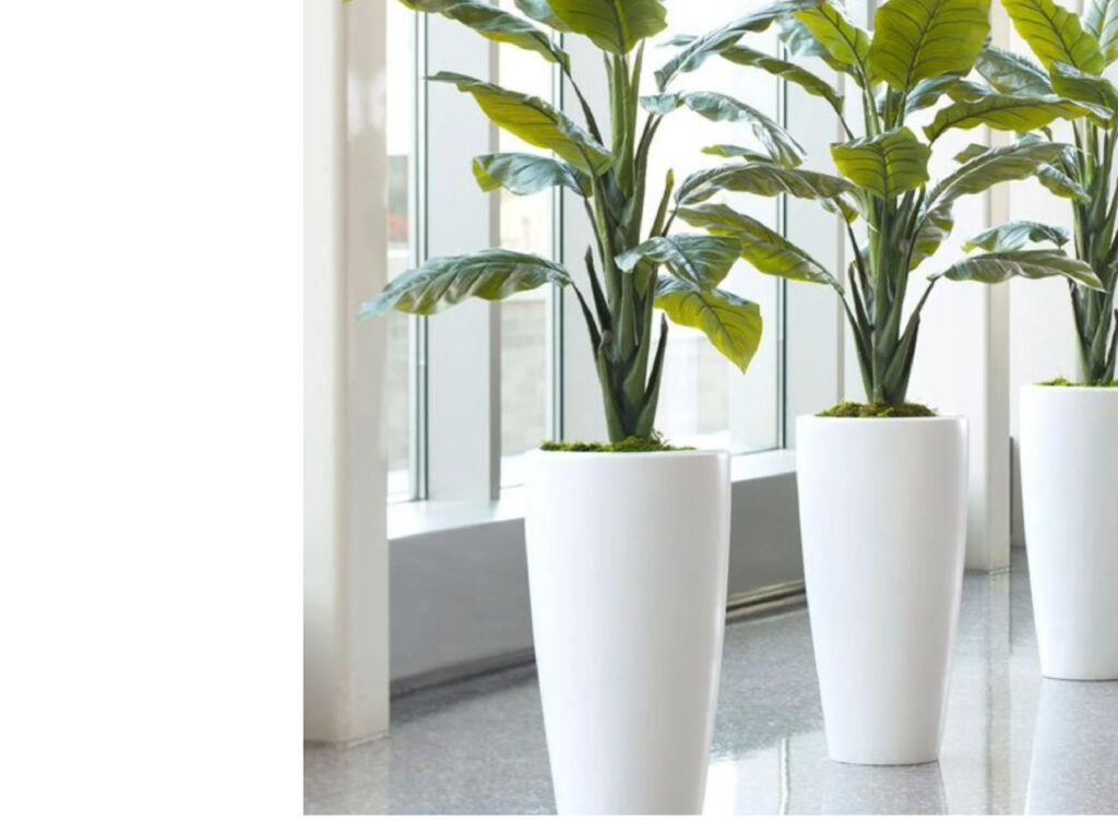 כד-פמילי-עגול-לבן-מבריק-דגם-קולוסאום