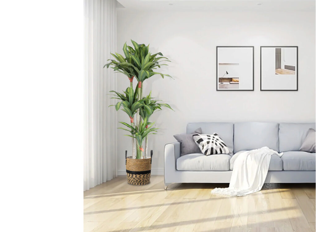 עץ-דרצנה-מלאכותי-ענק-180-סמ