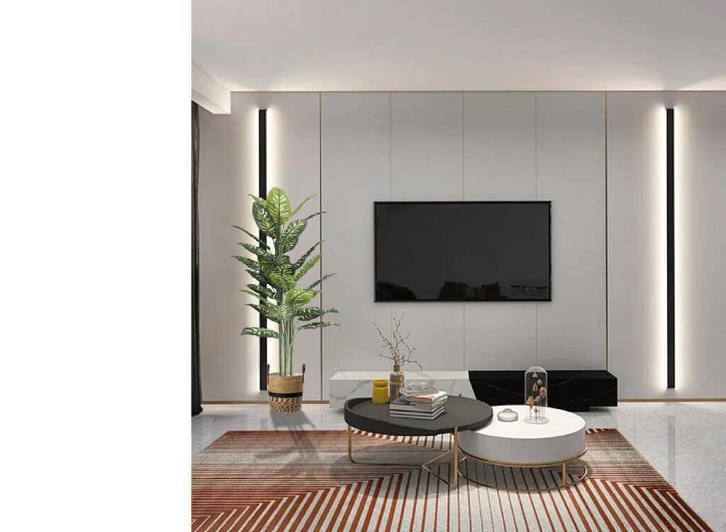 עץ-פטסיה-יפנית-150